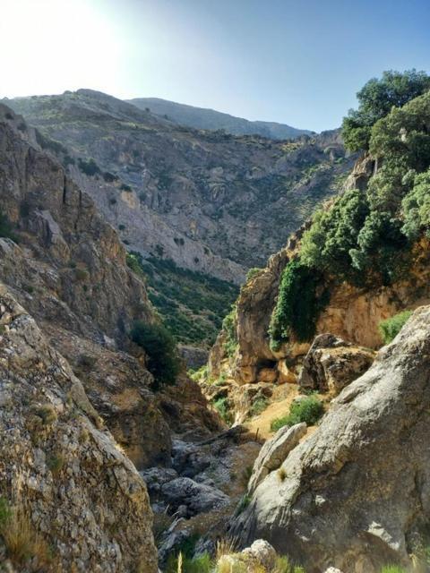 Cave Holidays Andalucia Apartment